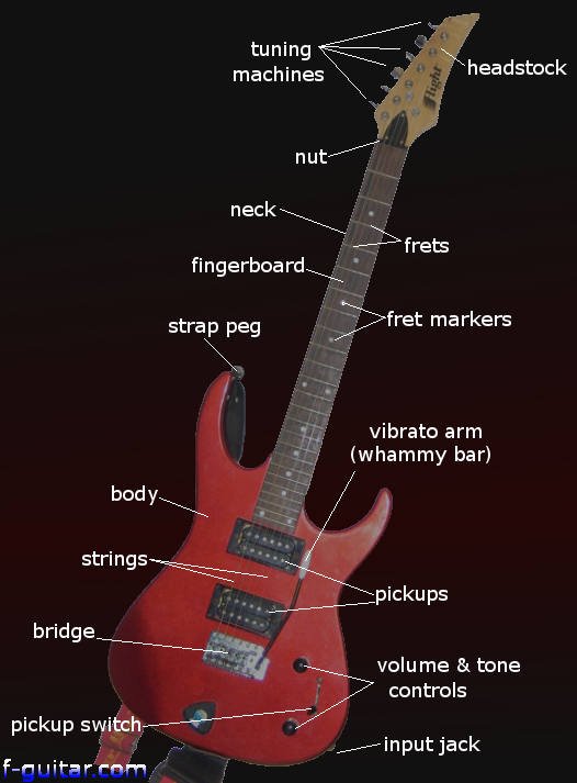 electric guitar diagram