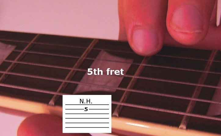 Playing Natural Harmonics - Fretting Hand